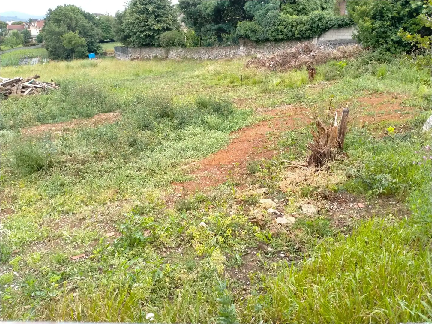Terreno rustico in vendita a Maliaño, imagen 3