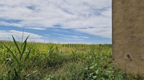 Foto 5 de Terreny en venda a  Finca Rehacios Angostos, Puerta, Riolobos, Cáceres