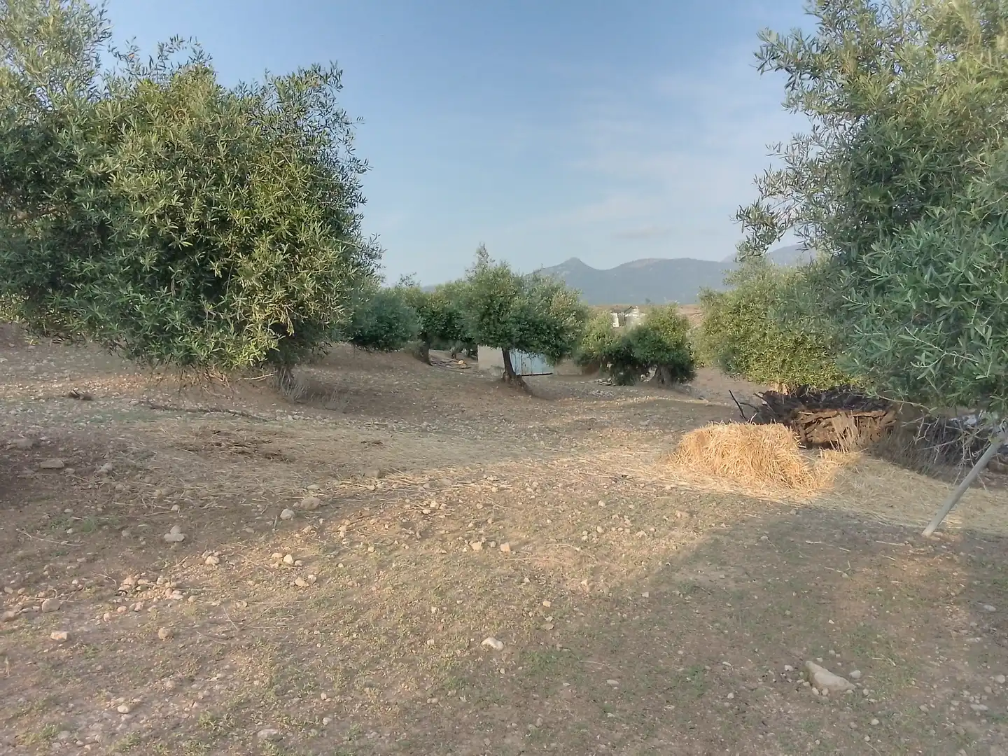 Terreno rústico en venta en Villamartín, imagen 22