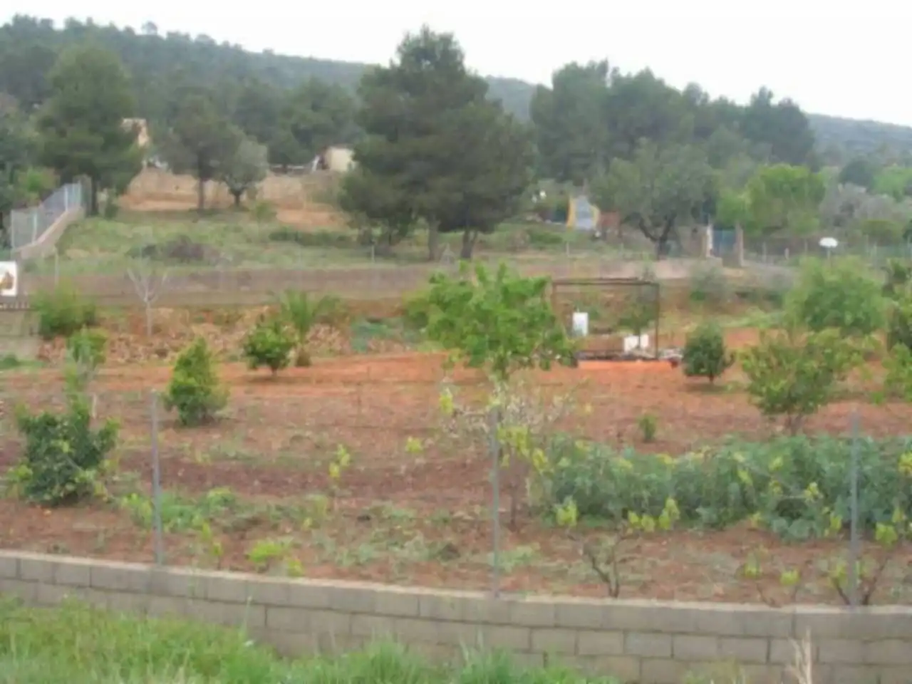 Residential land for sale in Turís