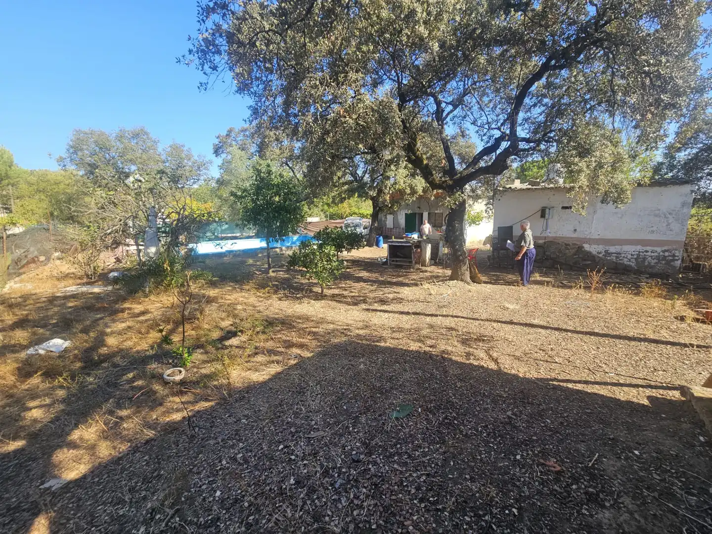 Terreno rustico in vendita a Castilblanco de los Arroyos, imagen 7