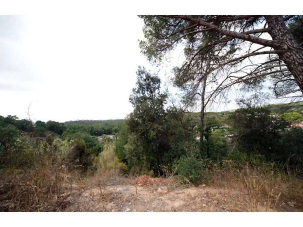 Rural land for sale in JUNTA DE COMPESACION, imagen 5