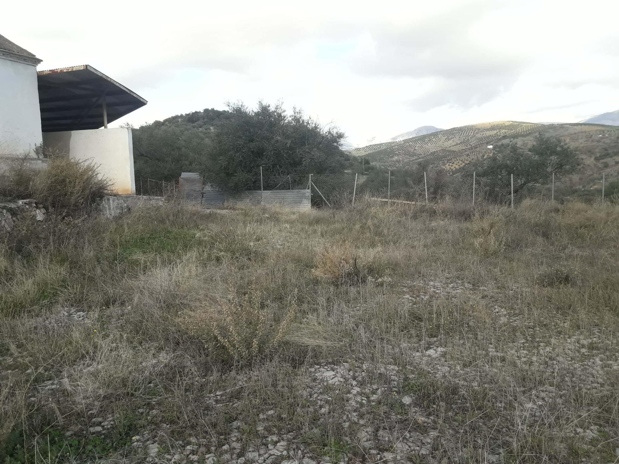 Land for sale in Cútar