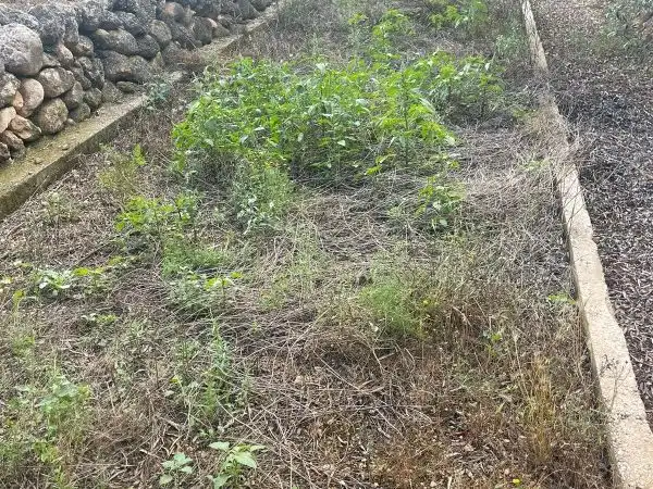Terreno rustico in vendita a Plaça del Regne d'Espanya 8, imagen 16
