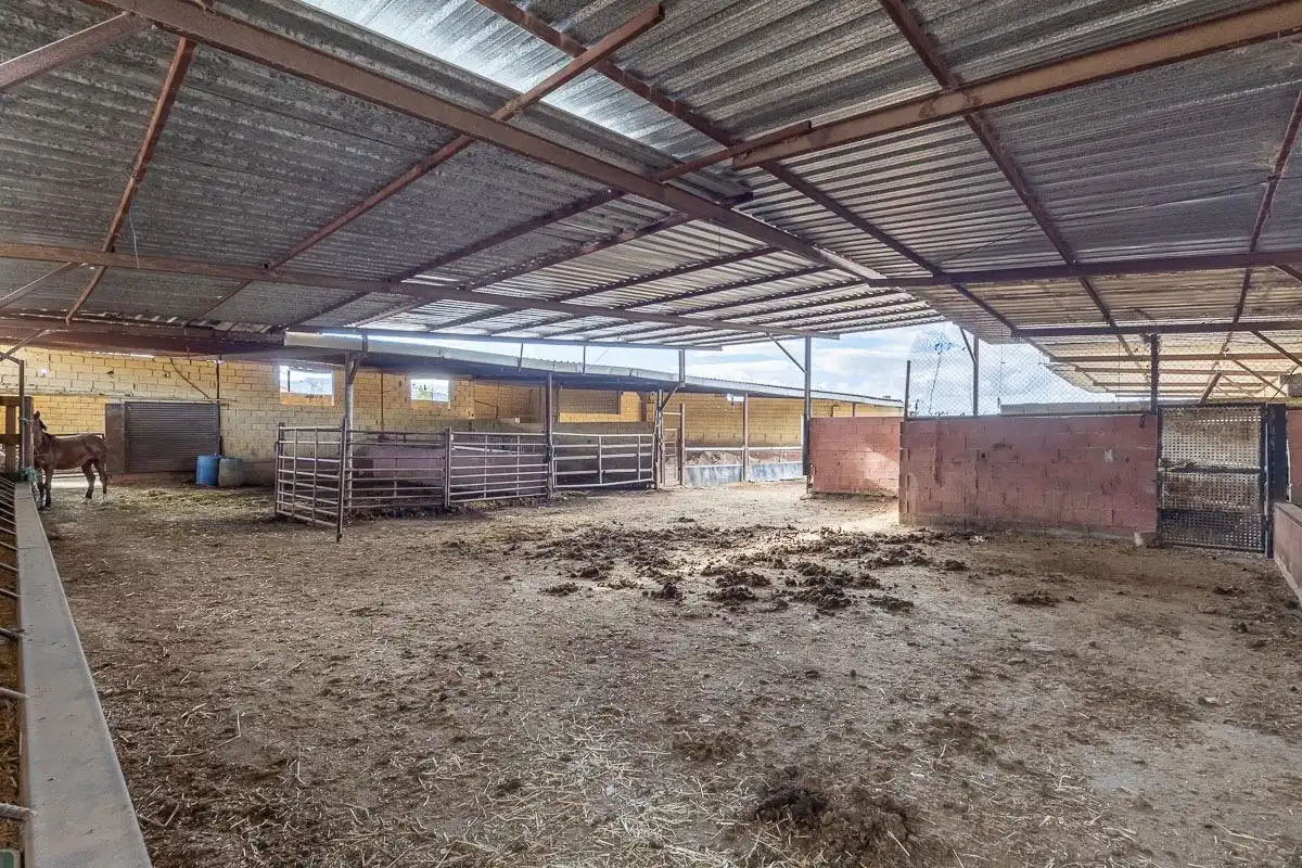 Chalet con jardín en venta en Camino de la Zubia 20, imagen 12