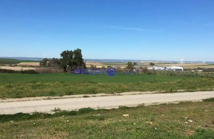 Terrenos y solares en venta en Lirio, imagen 7