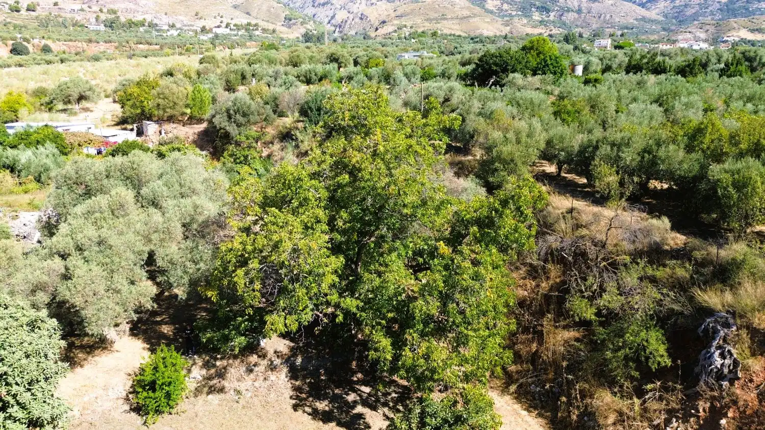 Houses for sale in Órgiva, Granada
