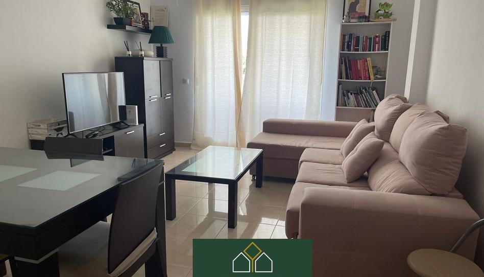 Photo 1 of Flat to rent in Calle de la Lavanda, Soto de Vistahermosa, Cádiz