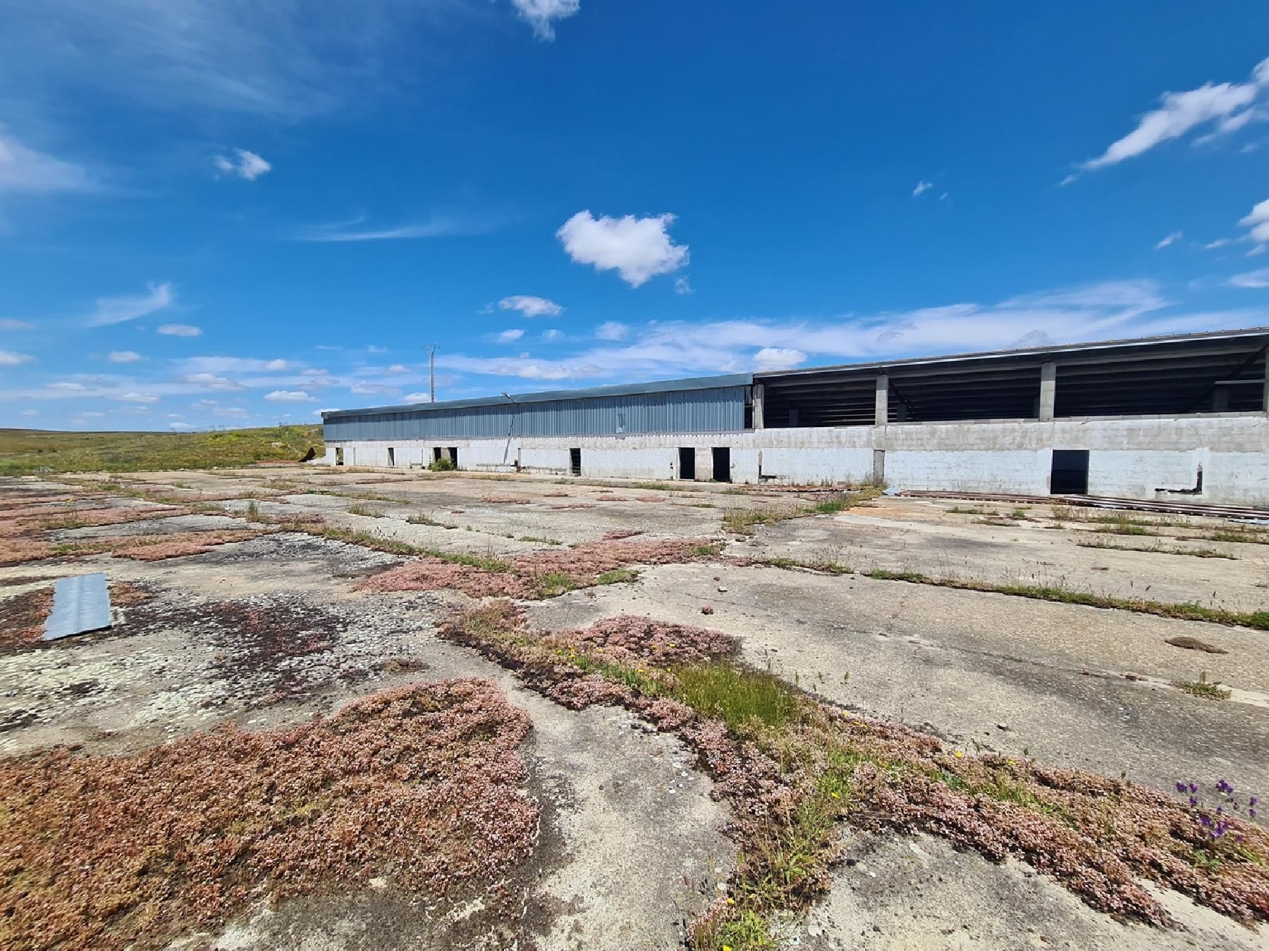 Vista exterior de Residencial en venda en Martinamor