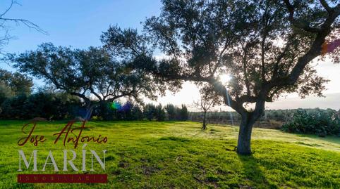 Photo 4 of Country house for sale