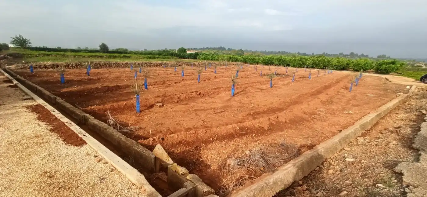 Terreno en venta en Anna