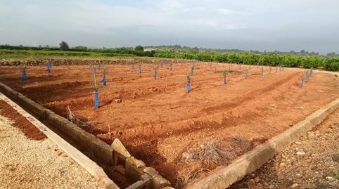 Foto 2 de Terreno en venta en Anna, Valencia