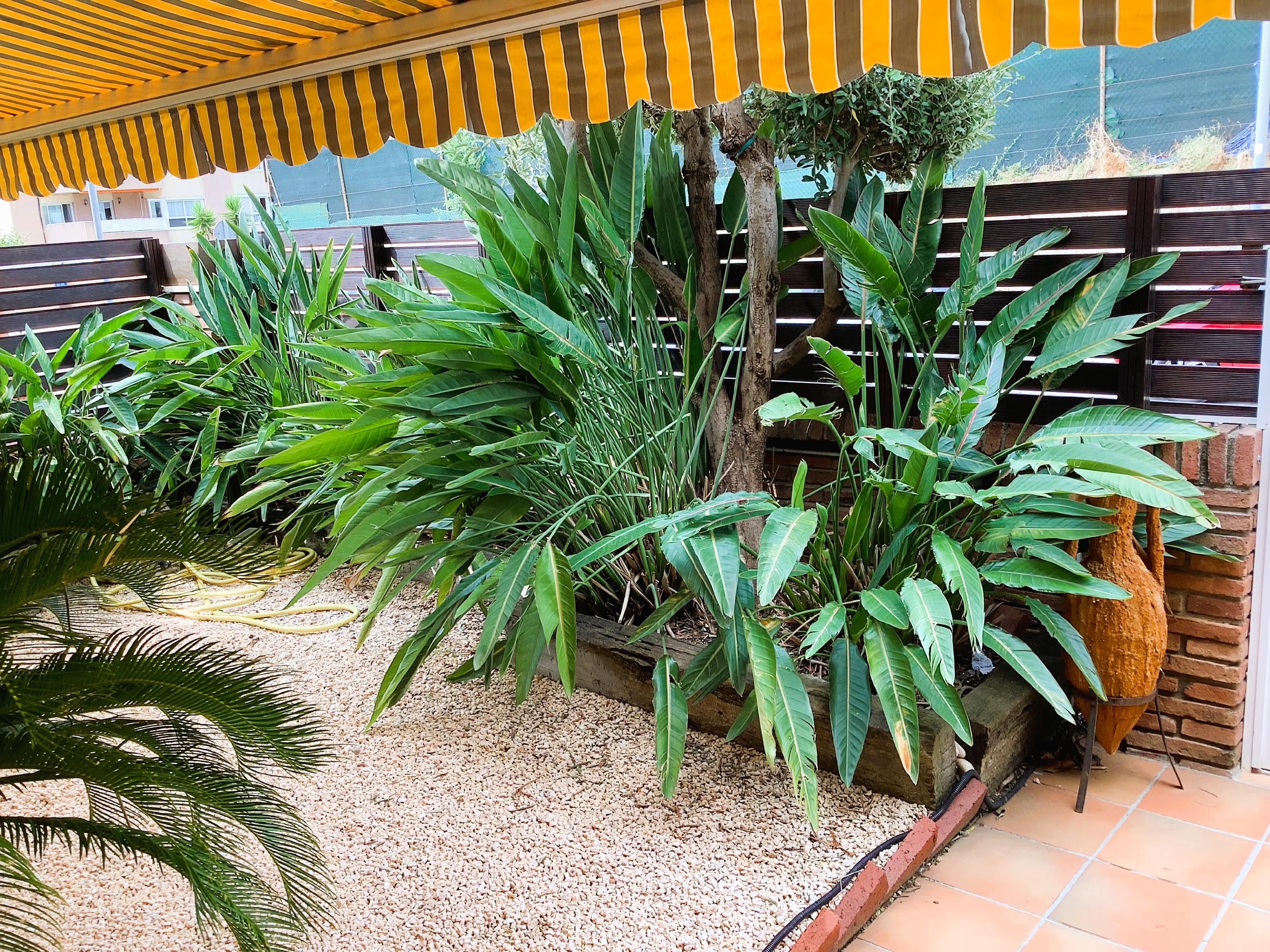 Jardín de Casa adosada en venta en Premià de Dalt con Aire acondicionado y Calefacción