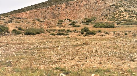 TERRENO EN CAÑADA ZONA CTRA. CAÑADA BIAR CON CANTERA