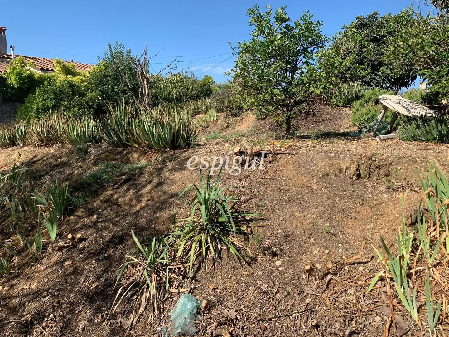 Land for sale in Dels pirineus, Bàscara
