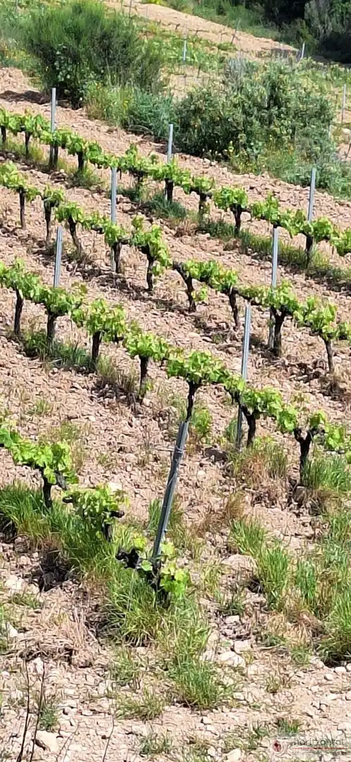 Terrenys i solars en venda a Sant Quintí de Mediona