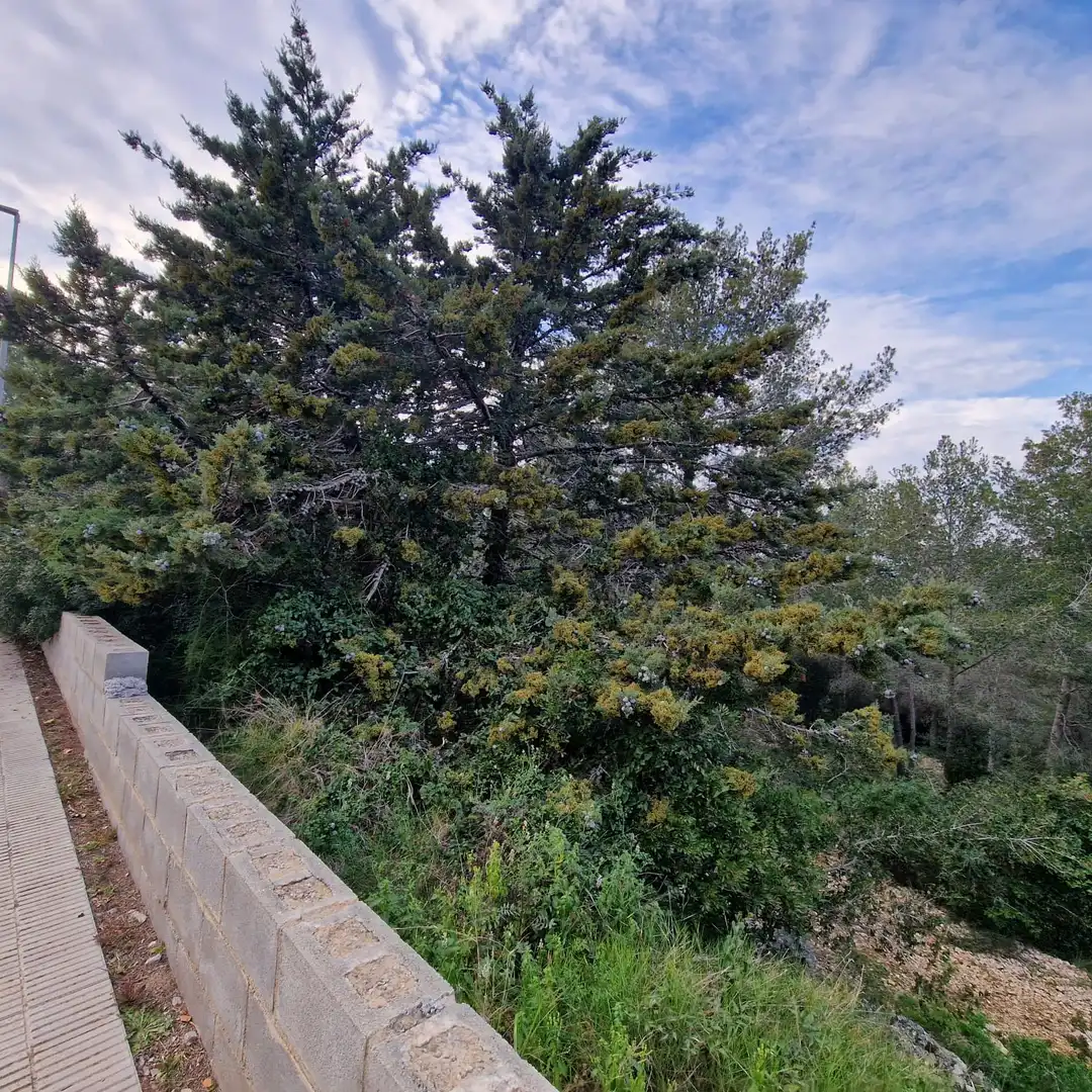 Terreno residencial en venta en Carrer Gessamí 18, imagen 4