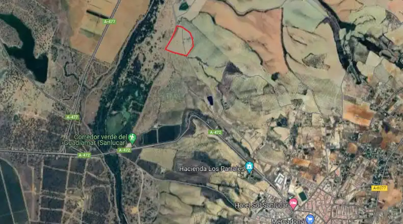 Terreny rústic en venda a Sanlúcar la Mayor, imagen 3