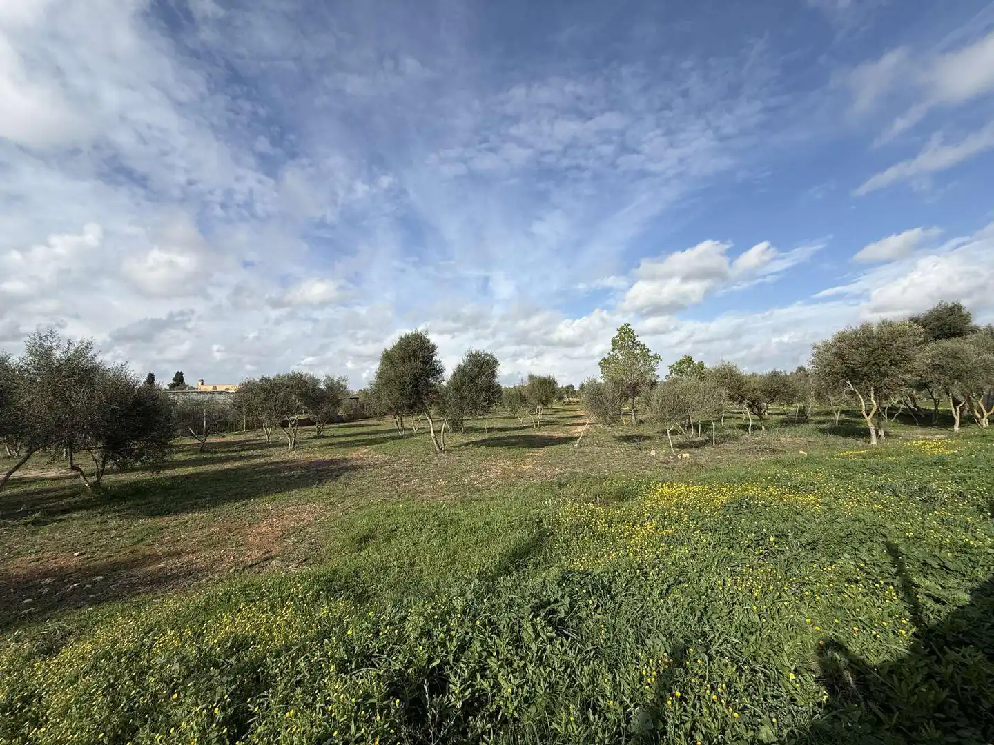 Terreno rustico in vendita a Ronda de Migjorn 64, imagen 3