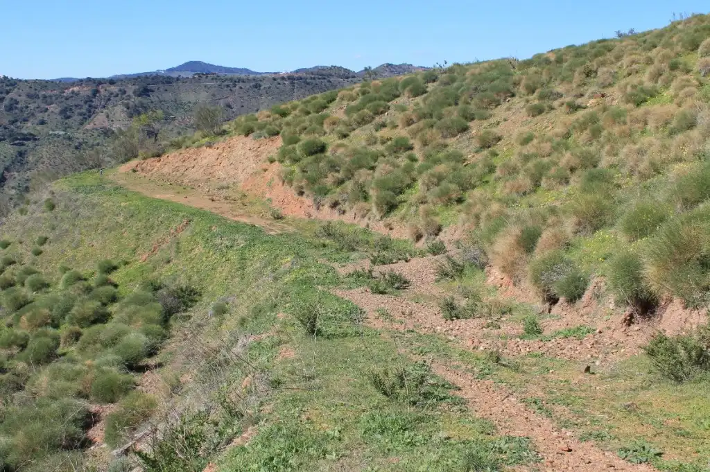 Lands and plots for sale in Arenas