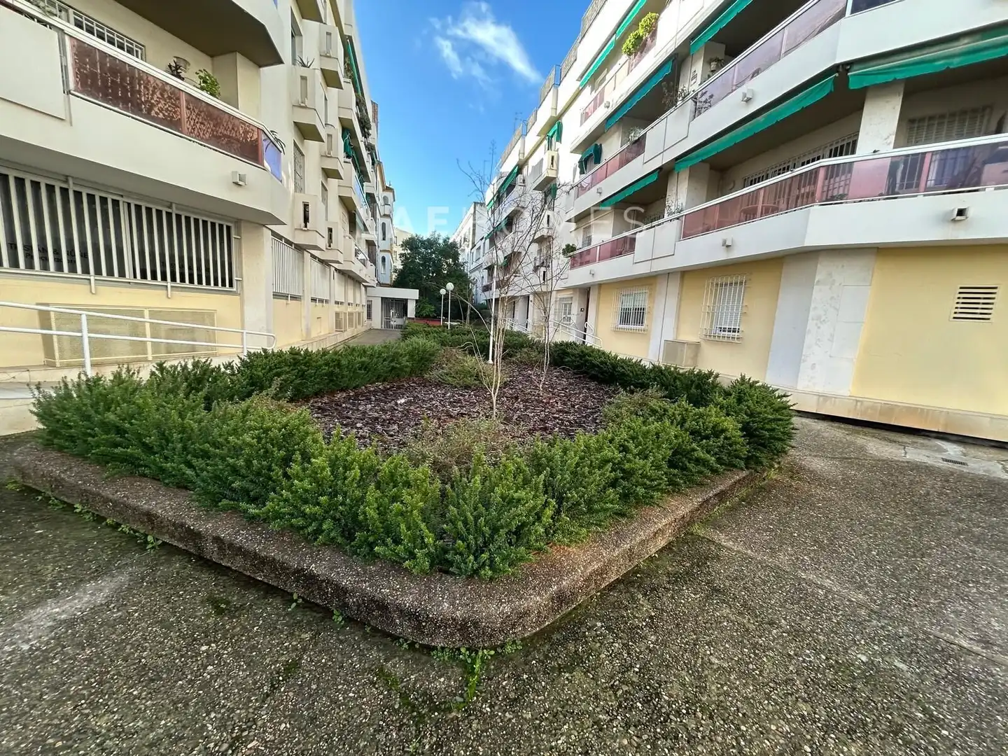 Flat for rent in San Bernardo