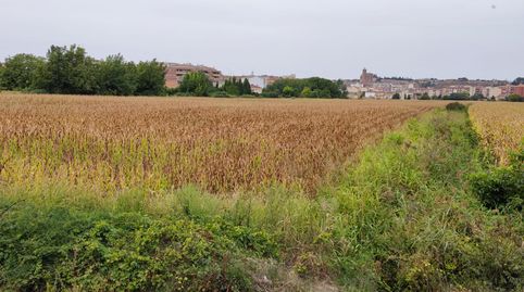 Imatge 2 de l'anunci