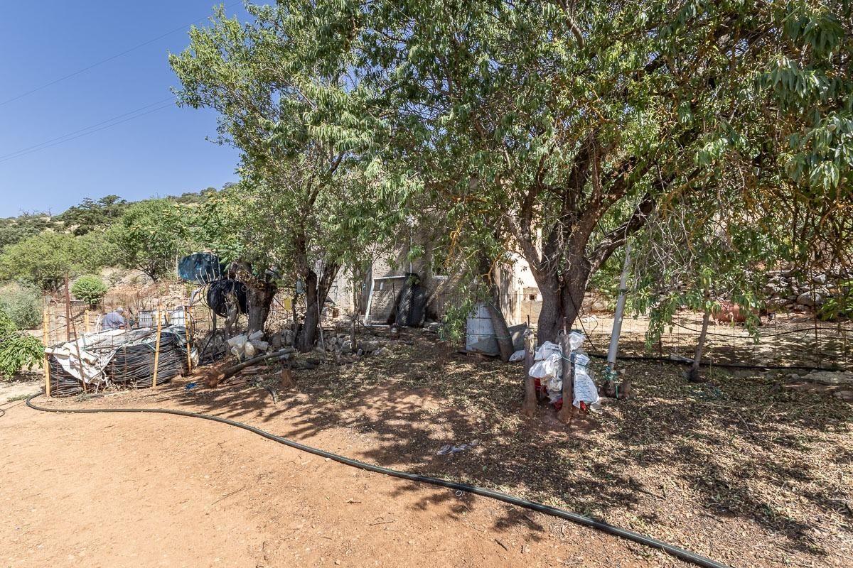 Land for sale in Montefrío