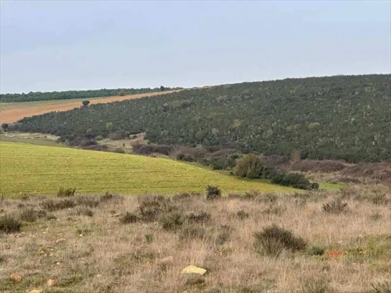 Terreny en venda a Santa Eufemia del Barco