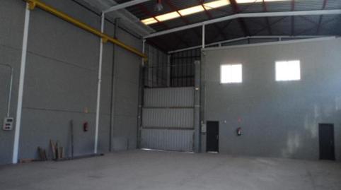 Photo 5 of Industrial buildings for sale in Los Pinos, Cádiz