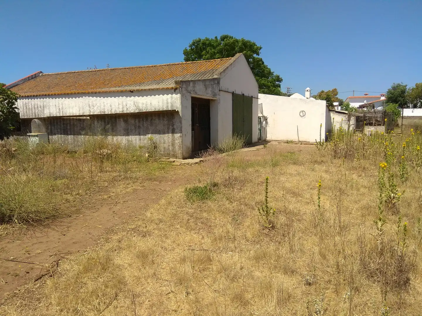 Terrain rustique à vendre à Vejer, imagen 17