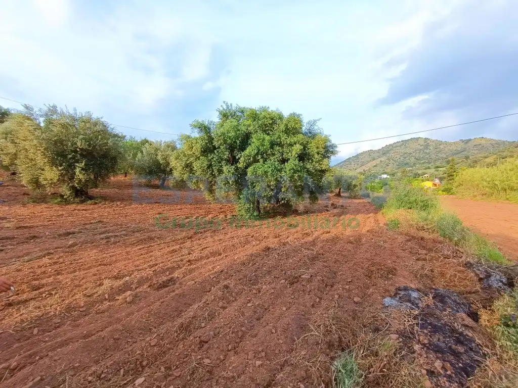 Terrenys i solars en venda a Partida Llano Comisario, imagen 5
