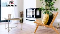 Sala d'estar de Àtic en venda en  Granada Capital amb Aire condicionat i Terrassa