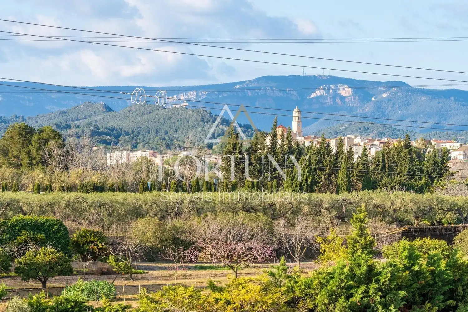 Terreno residencial en venta en T-320, imagen 10