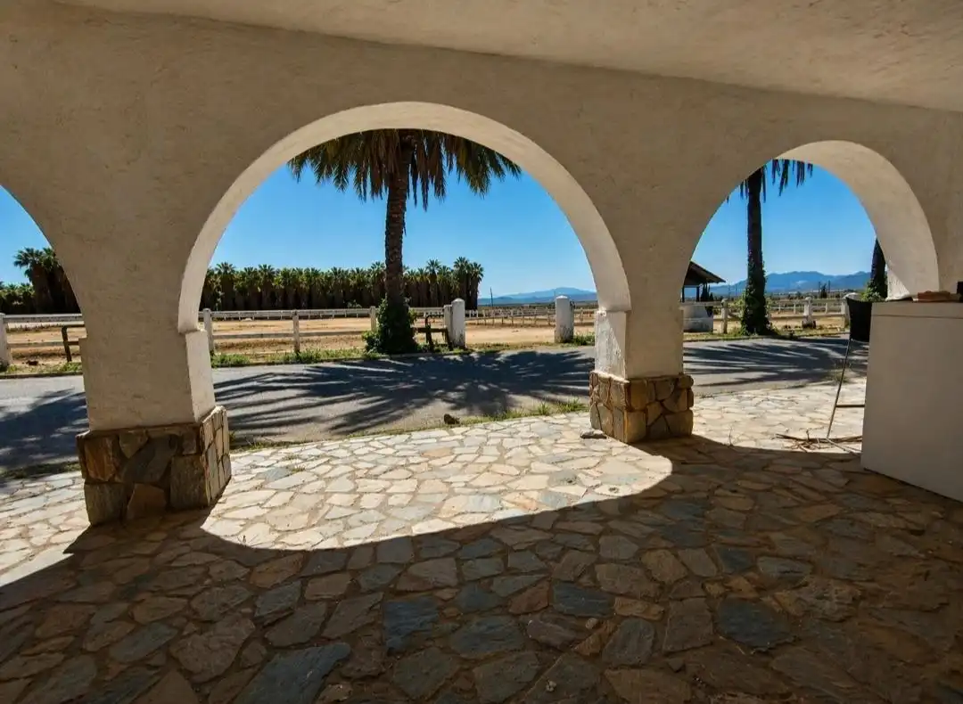 Villa à vendre à Novelda, imagen 14