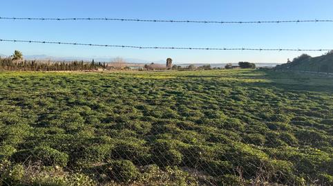 Foto 3 de Residencial en venda a La Marina, Elche / Elx