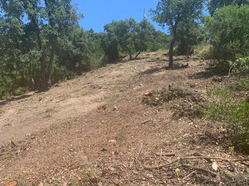 Lands and plots for sale in Riudarenes, imagen 3