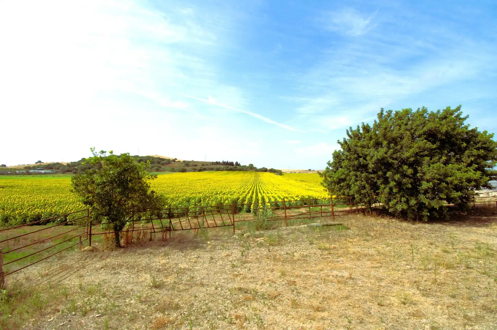 Country homes for sale in Jerez de la Frontera  with Private garden, Terrace and Furnished