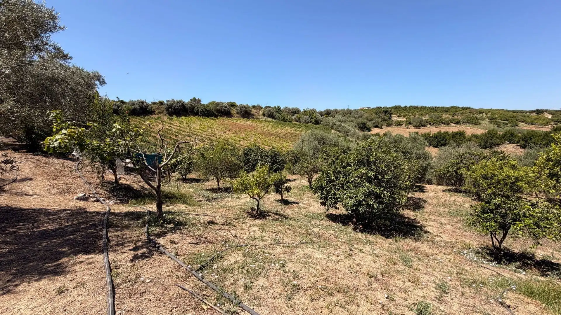 Finca rústica en venta en Centro