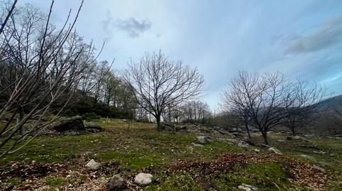 Foto 3 de Terreno en venta en Calle Nueva, 5, Garganta la Olla, Cáceres