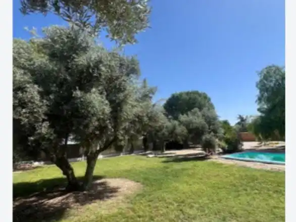 Garden of Houses for rent in Úbeda, Jaén