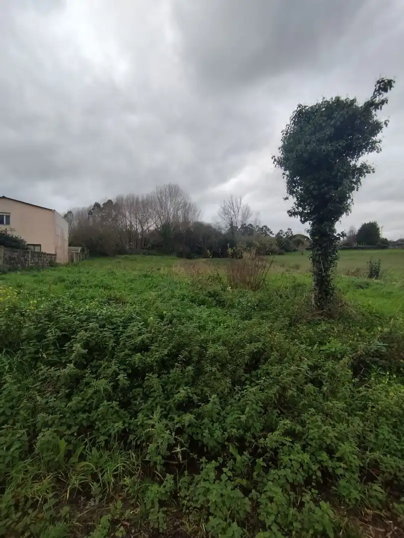 Terreno rustico in vendita a Calle Praia de Estacas 0, imagen 6