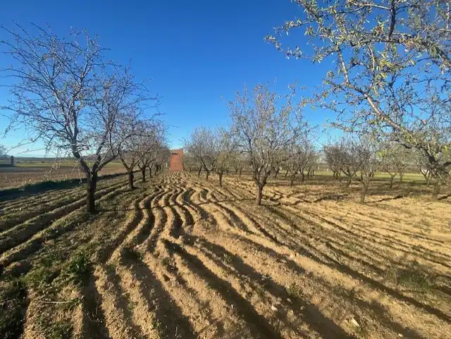 Terreno rústico en venta en Ue-7 22X, imagen 11