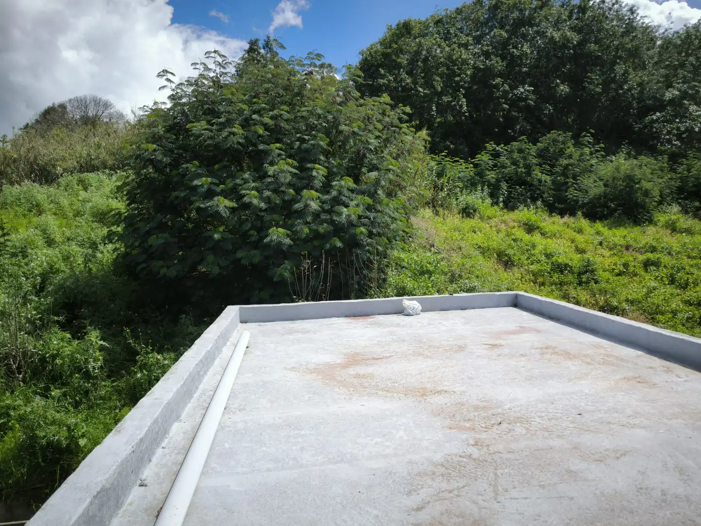 Finca rústica en venta en Moya (Las Palmas)