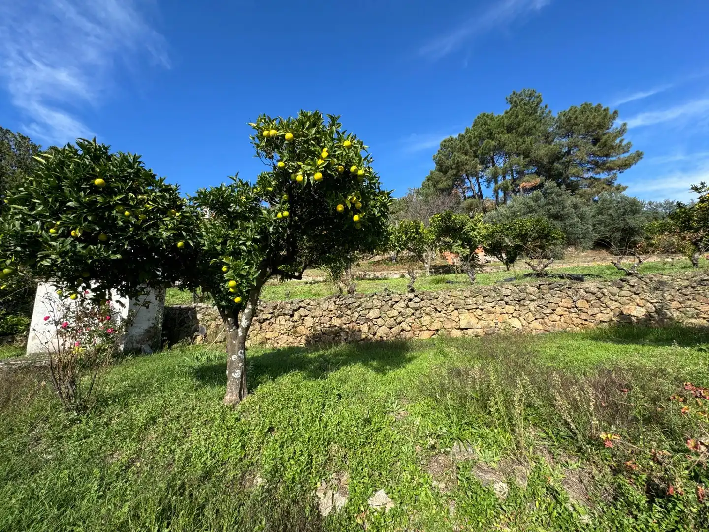 Finca rústica en venta en Candeleda con Jardín privado