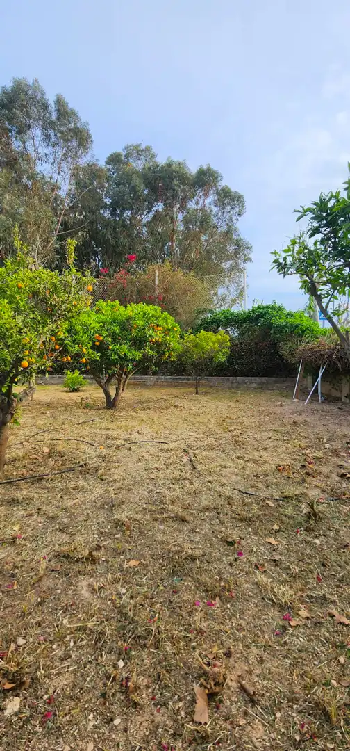Jardín de Casa o chalet en venta en L'Alfàs del Pi con Calefacción