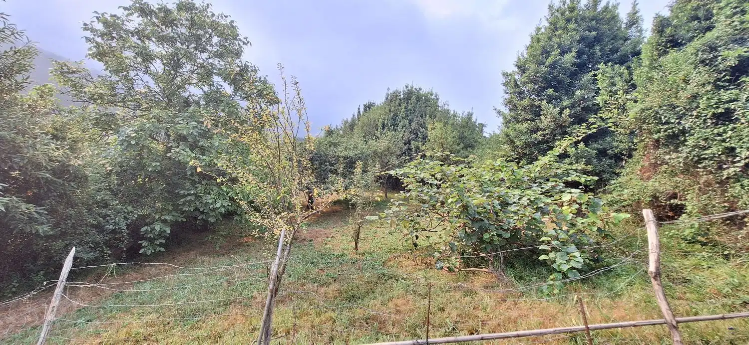 Residencial en venta en Gijón 