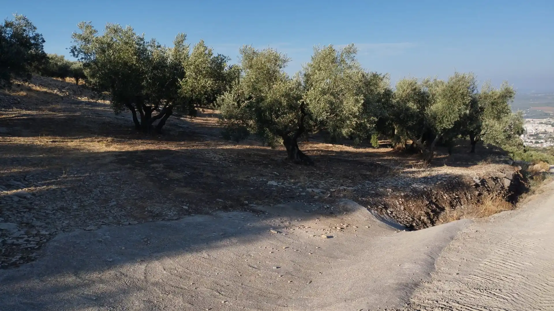 Terreno rustico in vendita a Avenida Góngora