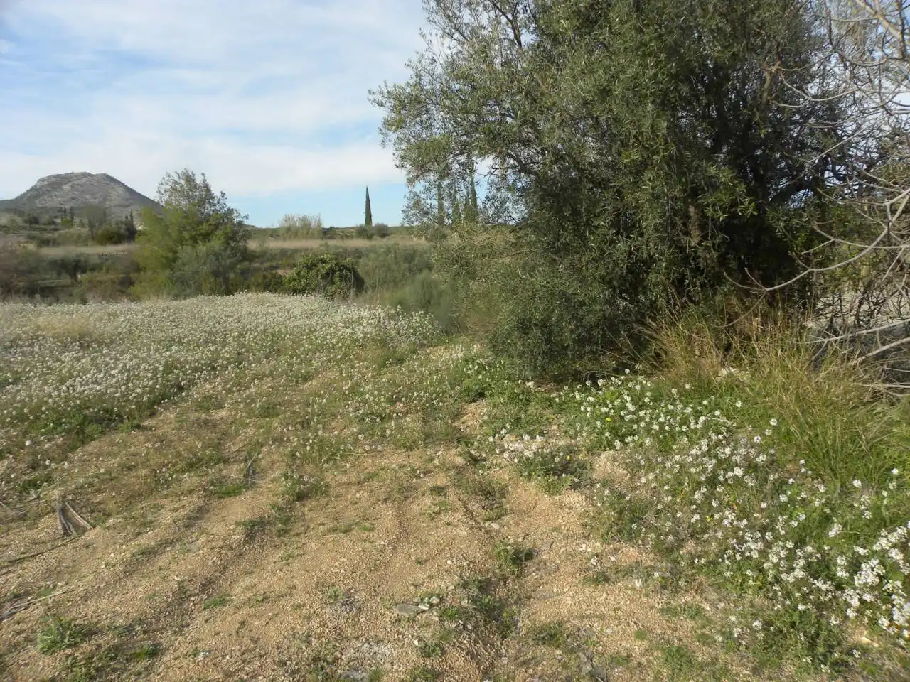 Residencial en venda en Caravaca de la Cruz