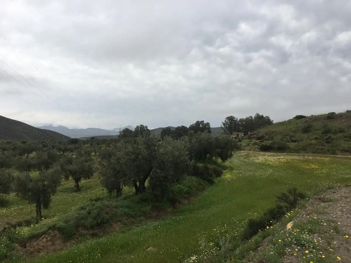 Rural land for sale in Turrillas, imagen 6