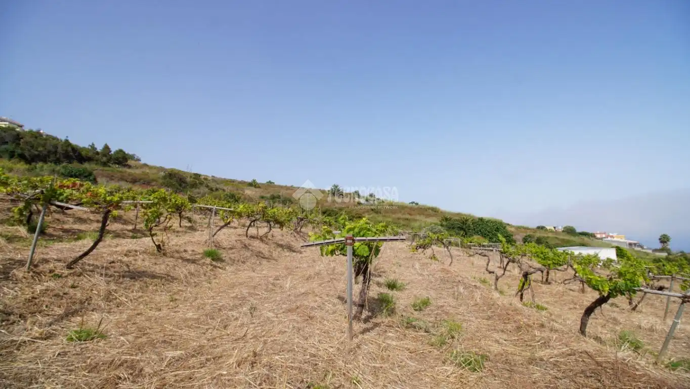 Finca rústica en venta en El Sauzal